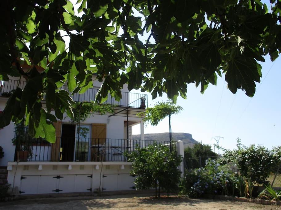 훌레야 Casa La Higuera 빌라 외부 사진