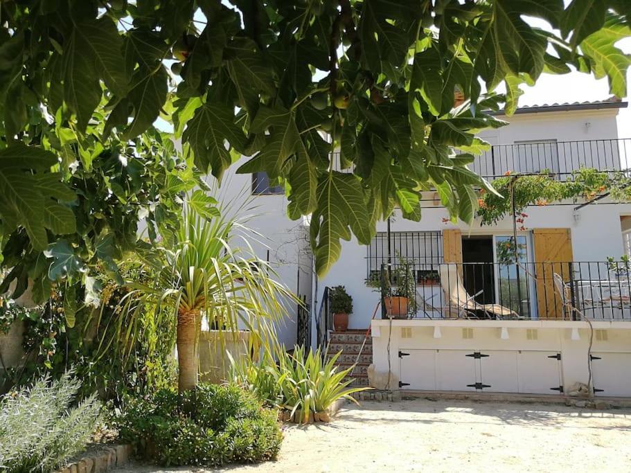 훌레야 Casa La Higuera 빌라 외부 사진