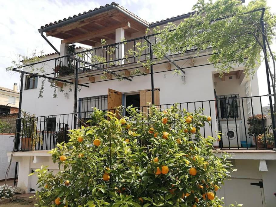 훌레야 Casa La Higuera 빌라 외부 사진